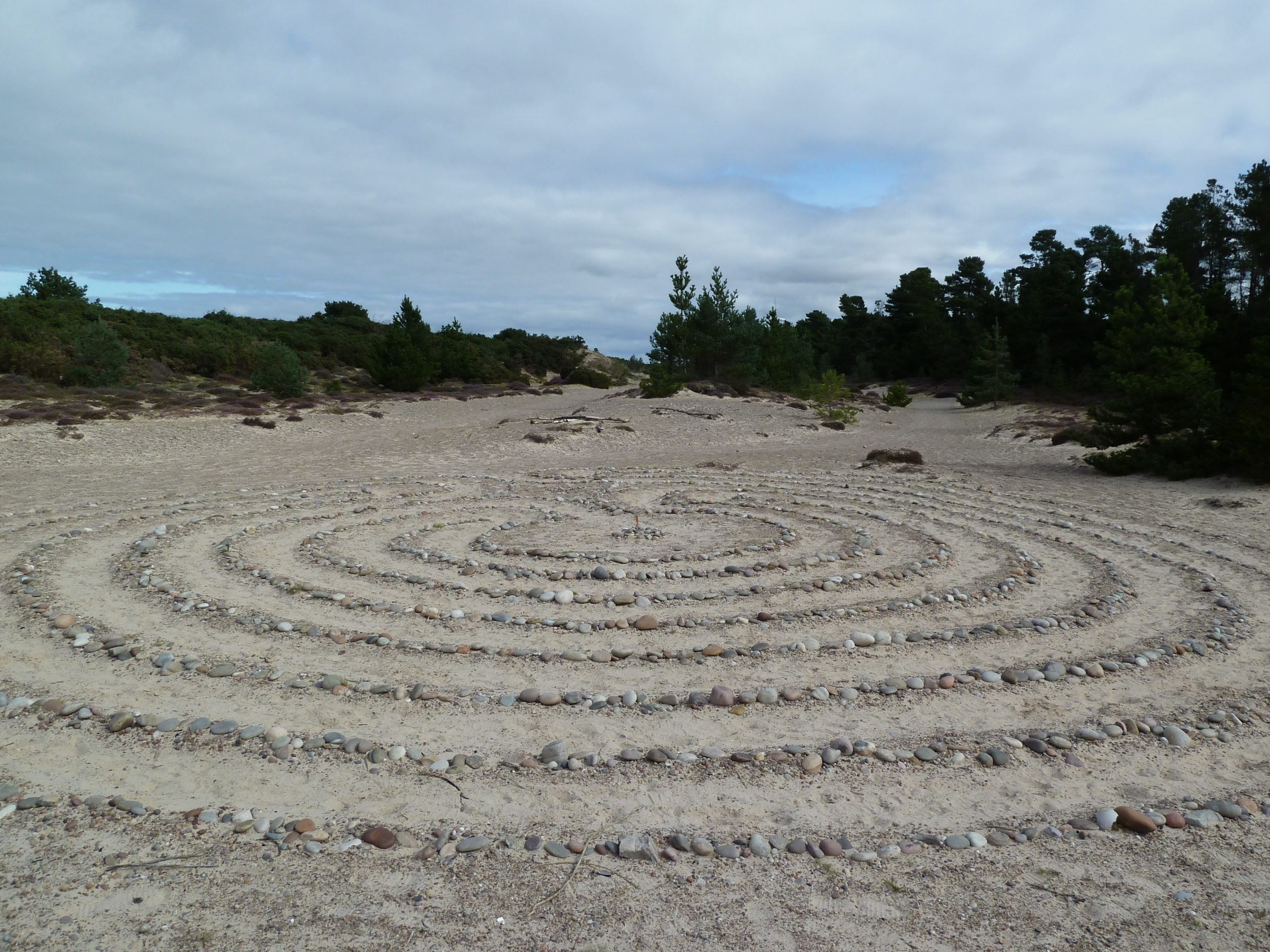 Dune Restoration Project Update