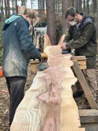 Sanding the Peace Bench