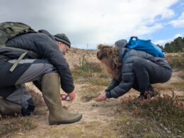 Reforesting Scotland visits the Hinterland - finding rare lichen