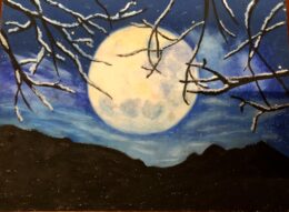 Drawing of moon through branches - Steiner School visit