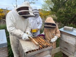 Opening the hive