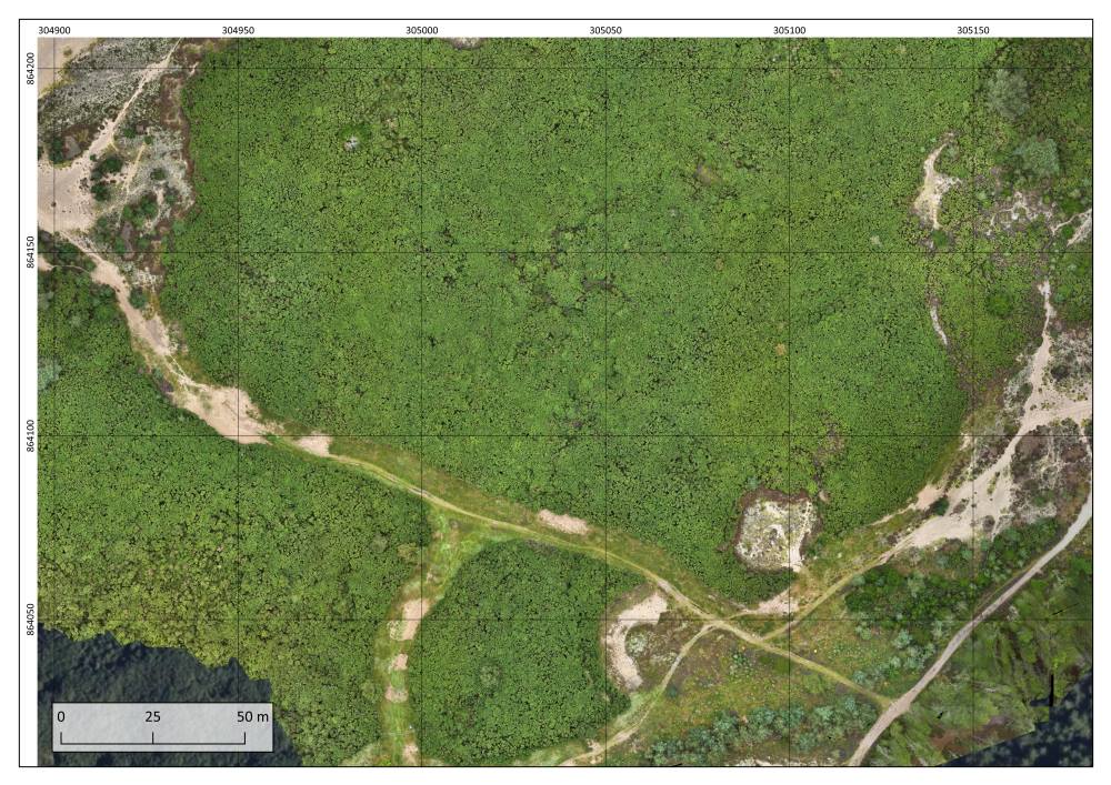 September 2024 - Pre clearance