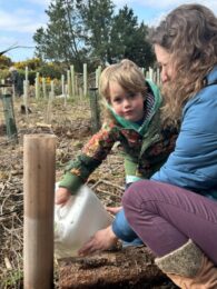 Tree planting